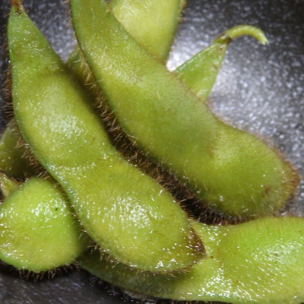 丹波黒枝豆　ほんの少し試食しました